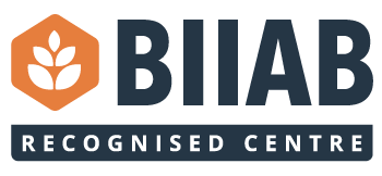 BIIAB Logo
